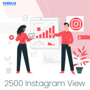 Buy 2500 Instagram View