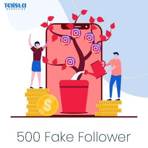 500-fake-follower