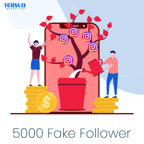 5000-fake-follower