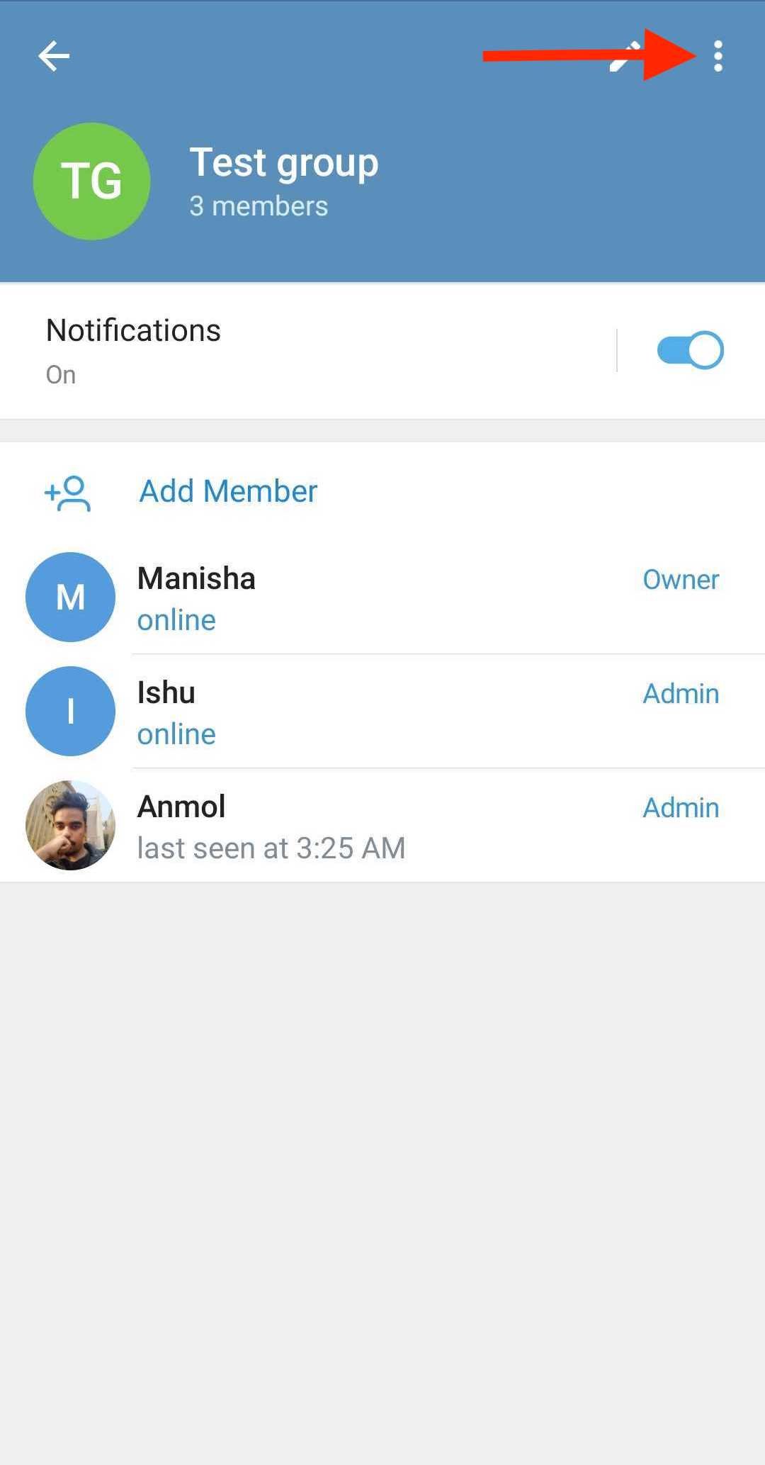 How to activate group call in Telegram?